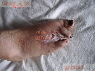 点此在新窗口浏览图片